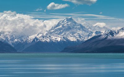 November update: Chief Executives Forum