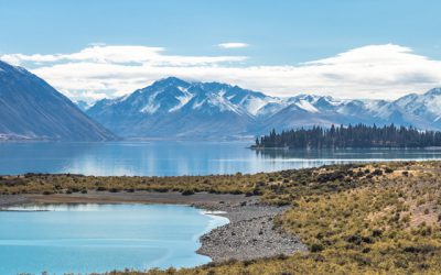 Progress towards Canterbury’s climate action plan