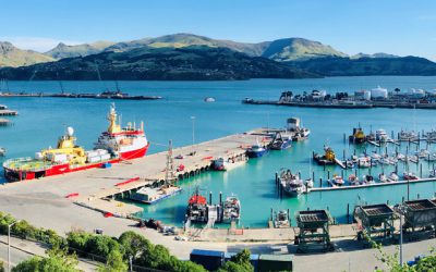 January 2019 update: Chief Executives Forum