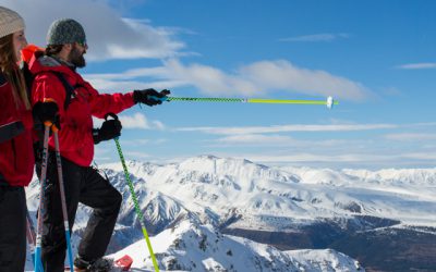 July 2019 update: Chief Executives Forum